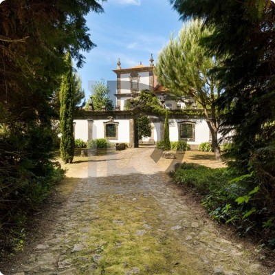 Negociação Particular - Proximos